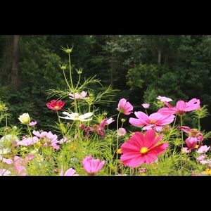 Meet your Posher, Leigh