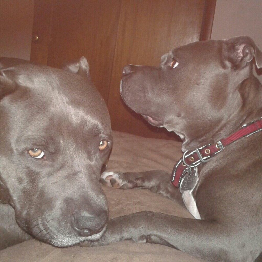 Meet your Posher, Aubrey