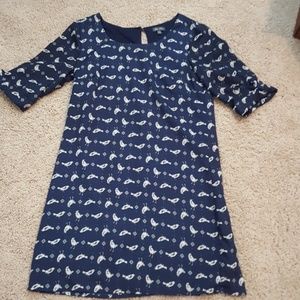 Bird print 3/4 sleeve navy dress