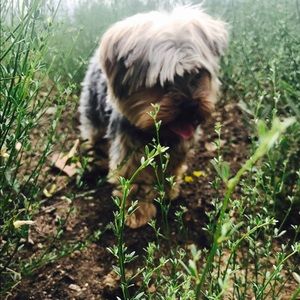 Meet your Posher, Veronica