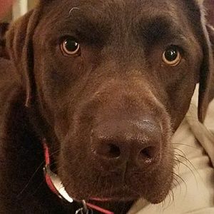 Meet your Posher, Hunter