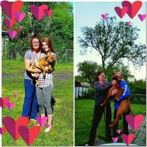 Meet your Posher, Holly