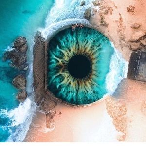 Meet your Posher, Celia