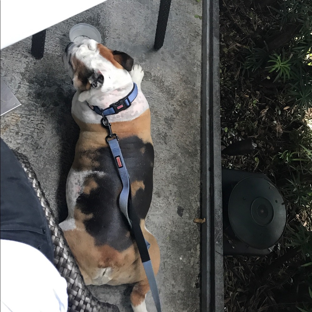 Meet your Posher, Felipe