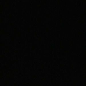 Meet your Posher, Lilly