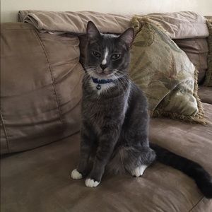 Meet your Posher, Carol