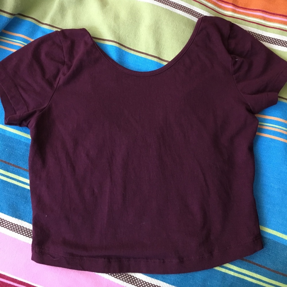 Brandy Melville burgundy short sleeve crop