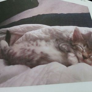 Meet your Posher, Billie