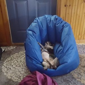 Meet your Posher, Loretta