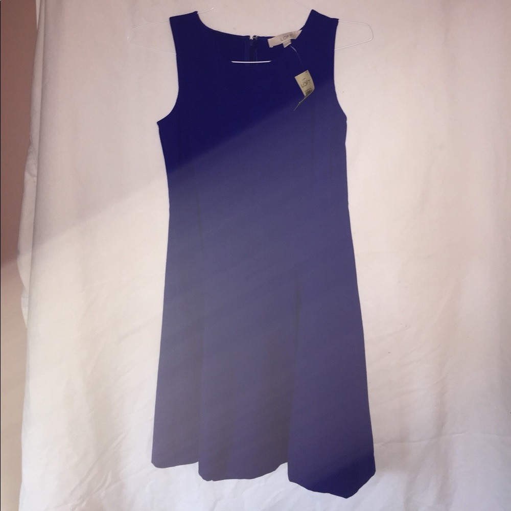 Loft royal blue petite dress