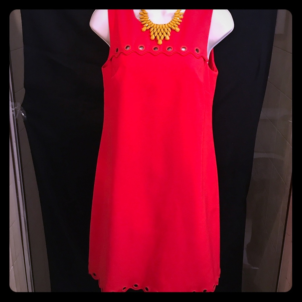 Dress- J.Crew eyelet trim work or party dress!