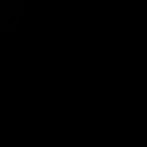 Meet your Posher, Julian