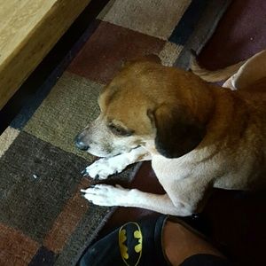 Meet your Posher, Michelle