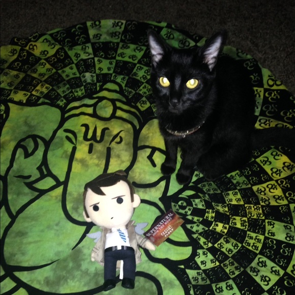 Meet your Posher, Jenny - Picture 8 of 16