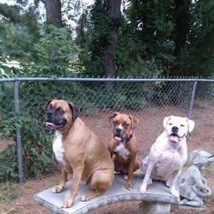 Meet your Posher, Ann