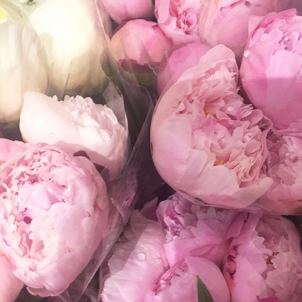 Meet your Posher, Natasha