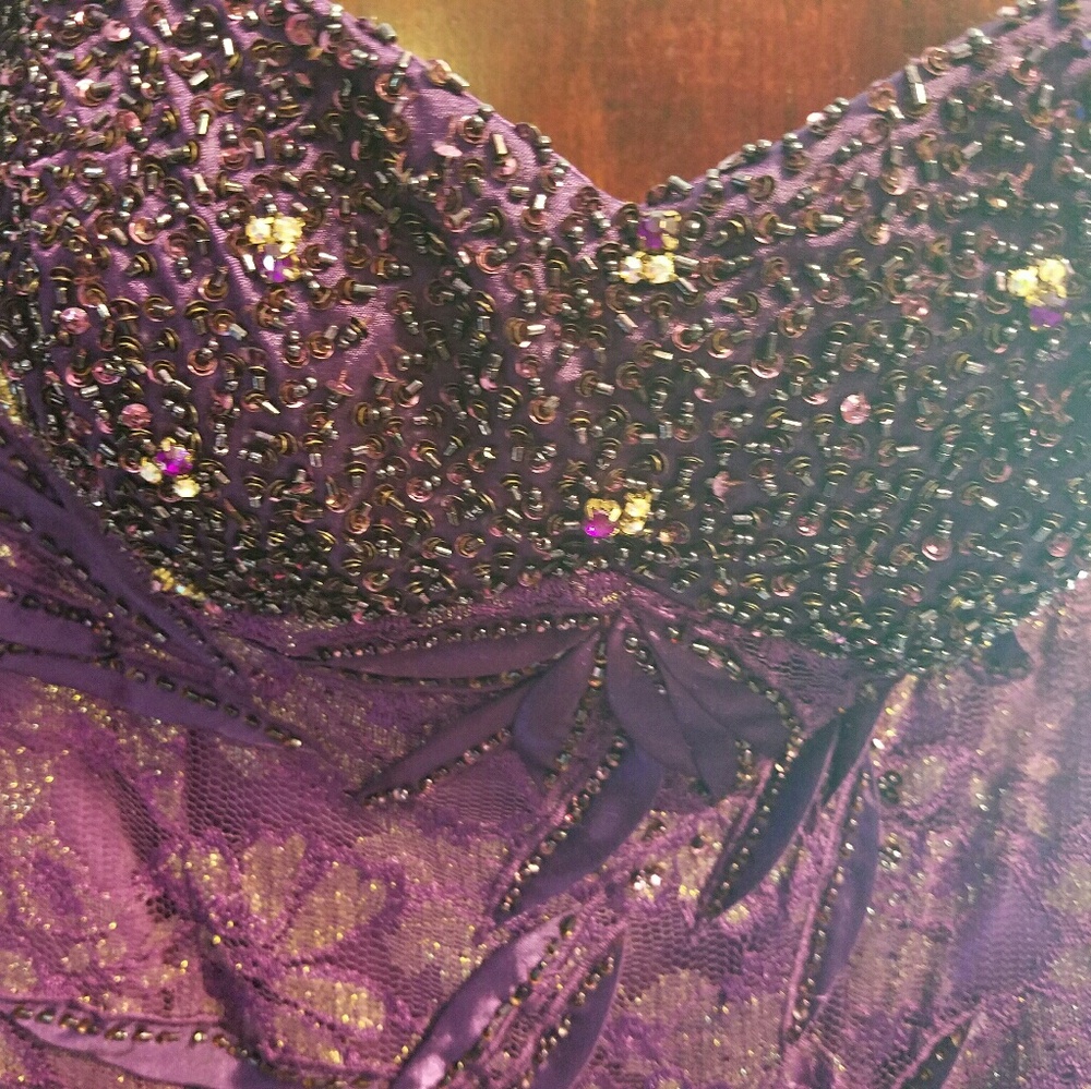 Evening Gown - Picture 3 of 7