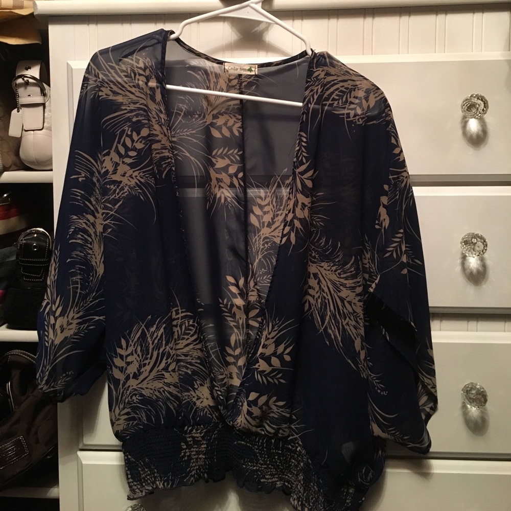 Sheer Blue and Tan top by Cedar Tree🌲Size medium