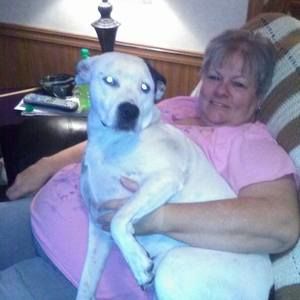 Meet your Posher, Nancy