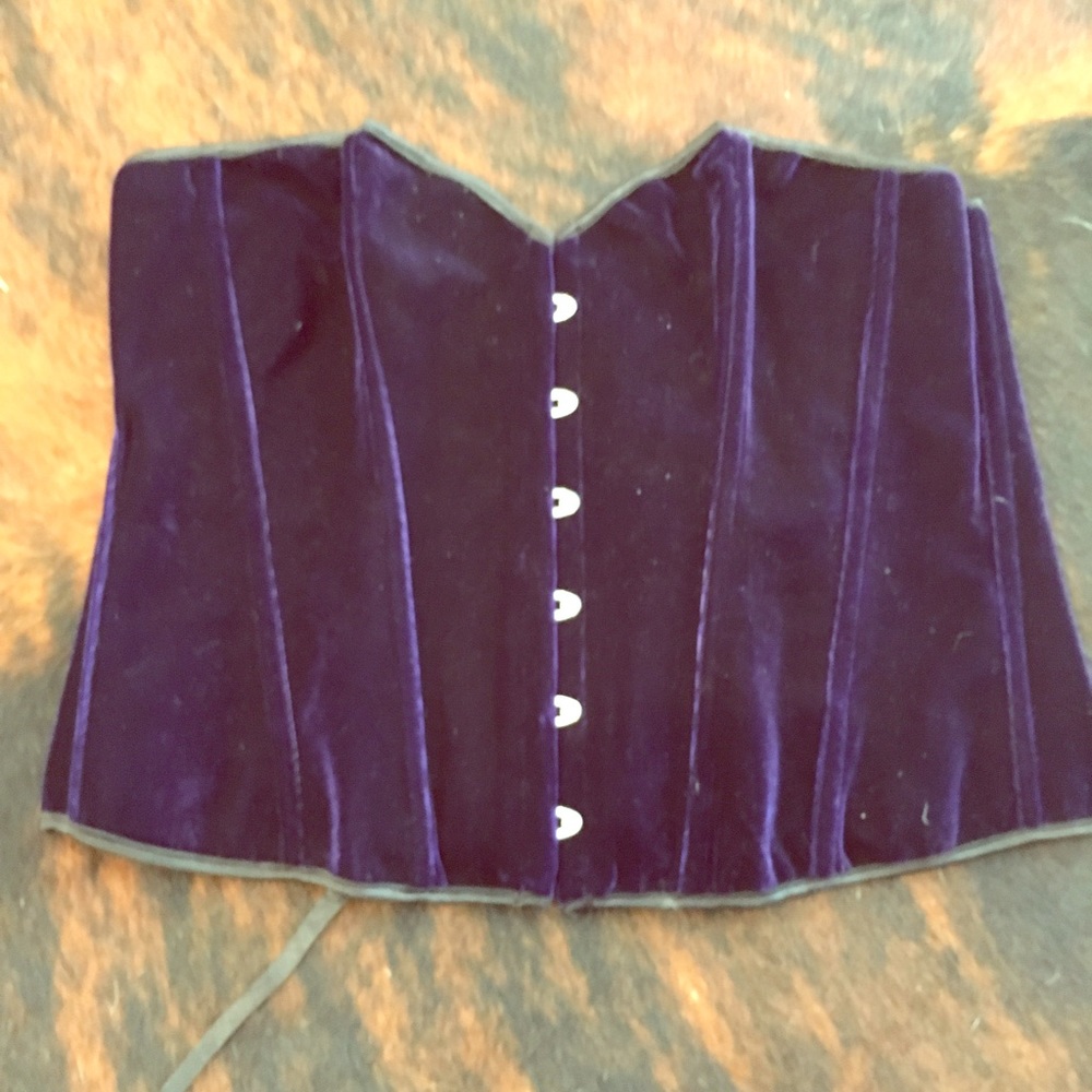 PLUS SIZE PURPLE VELVET CORSET