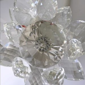 Meet your Posher, Maribel