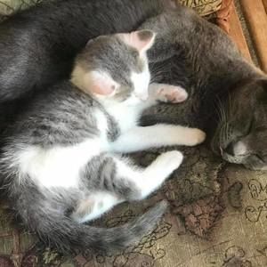 Meet your Posher, Kenzy