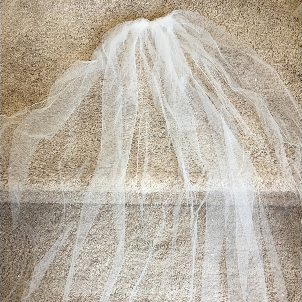 Cathedral Veil with Swarovski Crystals