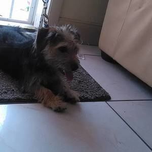 Meet your Posher, Anne marie