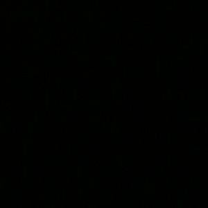 Meet your Posher, Terrel