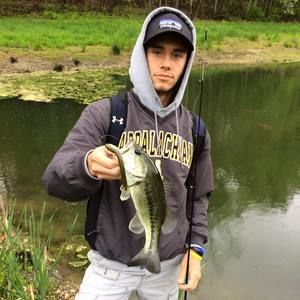 Meet your Posher, Luke