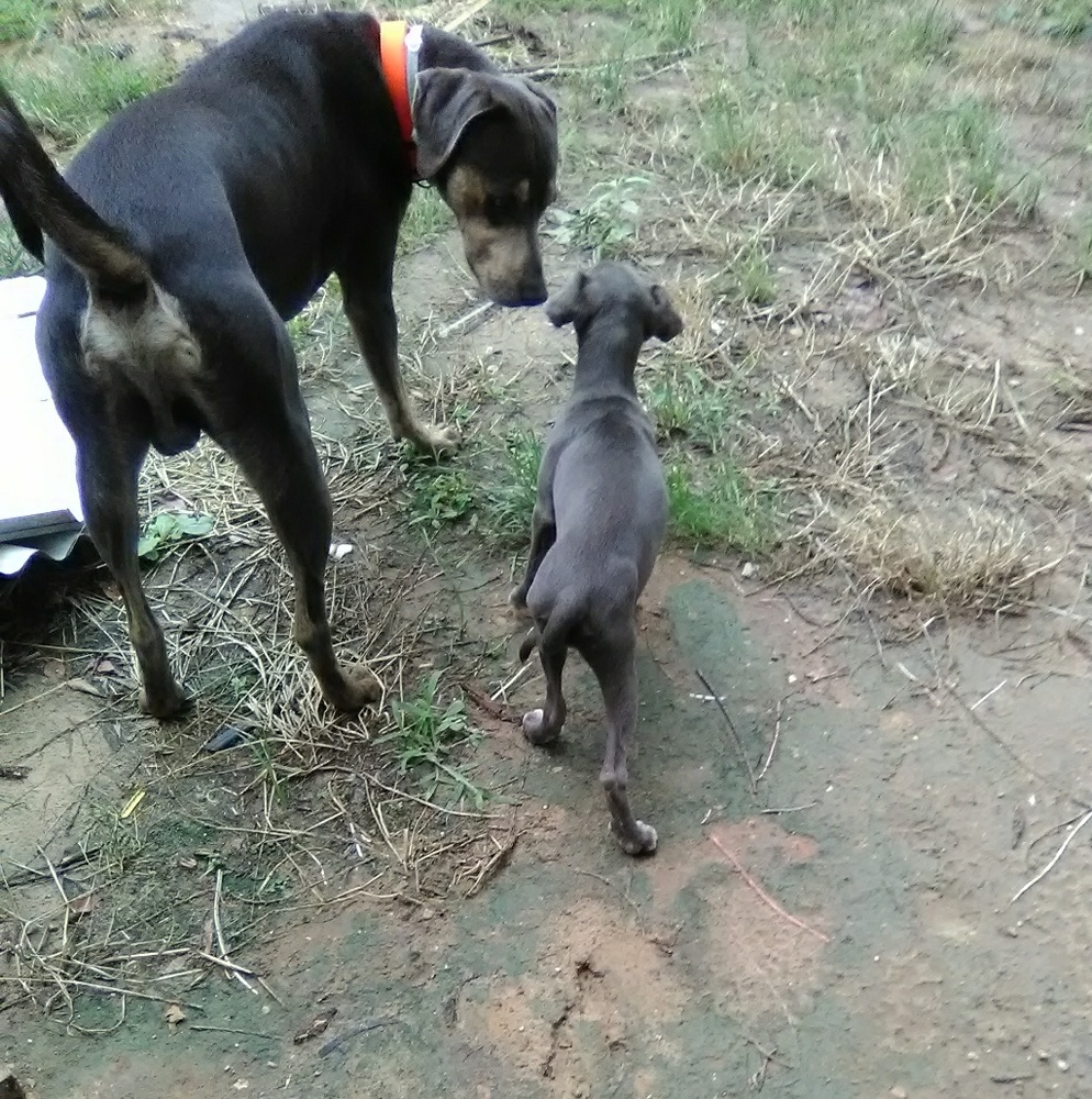 Meet your Posher, Ann