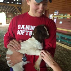 Meet your Posher, Taylor