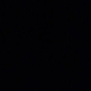 Meet your Posher, Abigail