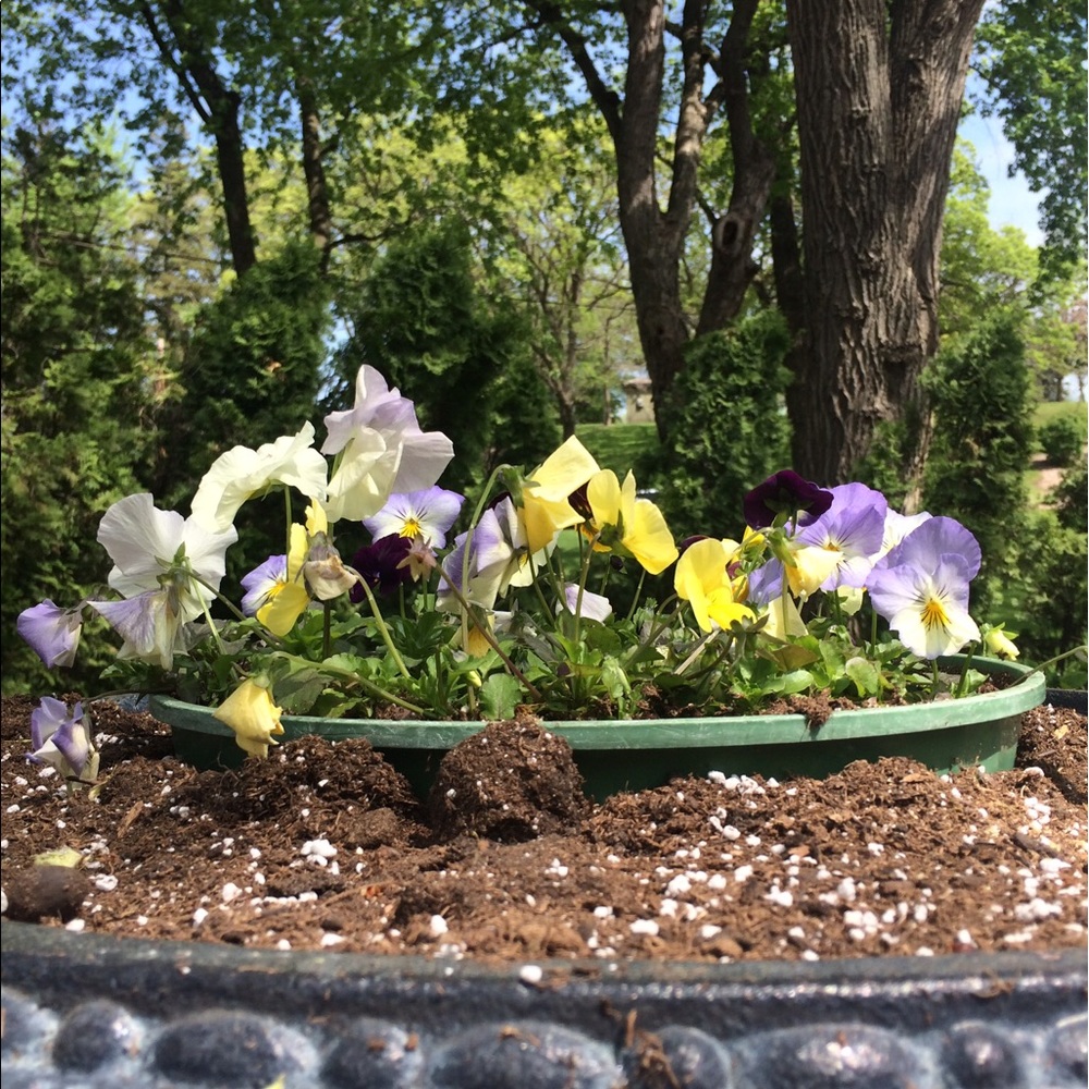 Meet your Posher, Katlyn