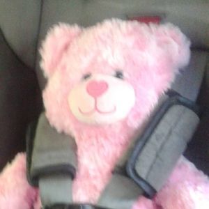 Meet your Posher, Janet