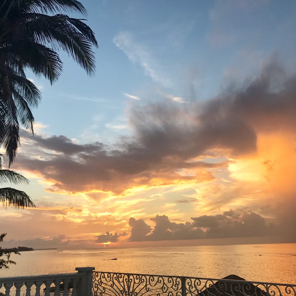 Meet your Posher, S.