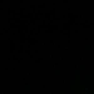 Meet your Posher, Taurus