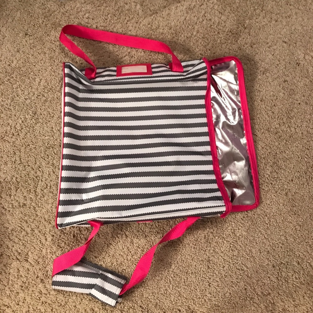 Thirty-One pizza carrier