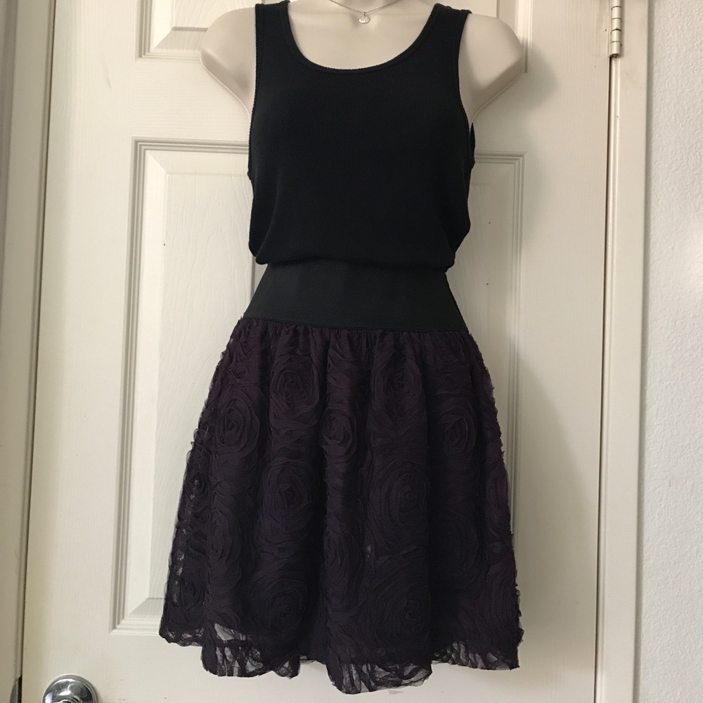 Stooshy Eggplant skater skirt