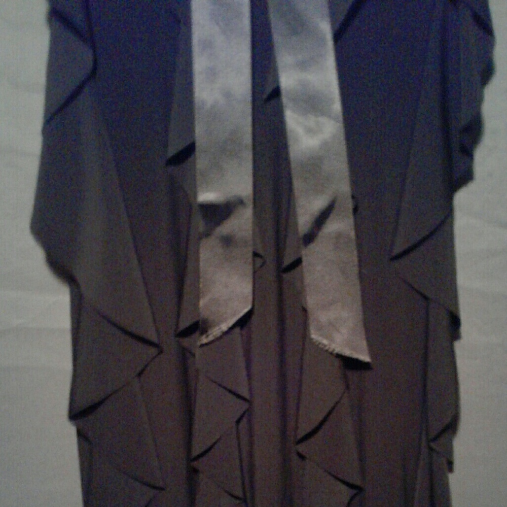 Cache Cocktail Dress - Picture 3 of 4