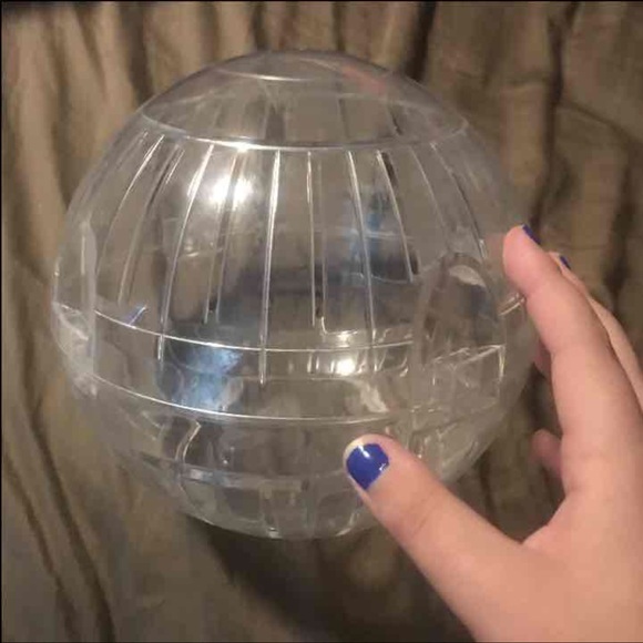 Large Rodent ball - Picture 1 of 2