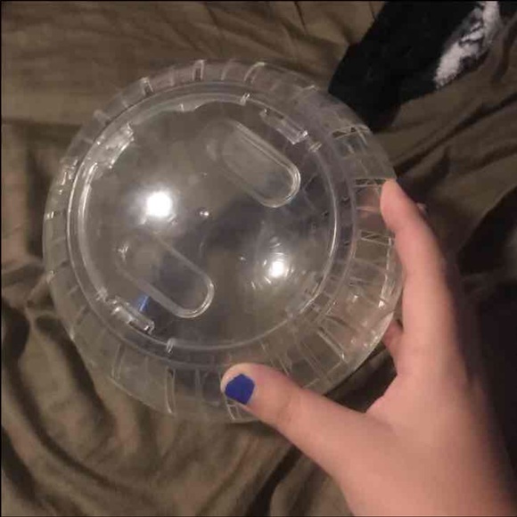 Large Rodent ball - Picture 2 of 2
