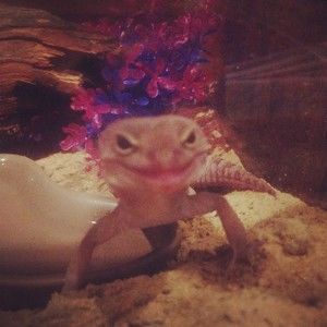 Meet your Posher, Brandon