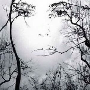 Meet your Posher, Kami