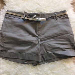 Express Grey Editor Shorts