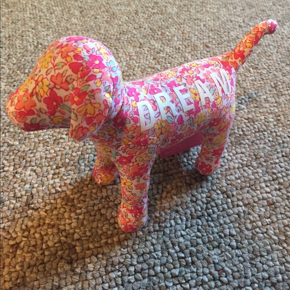 VS PINK dog - Picture 1 of 1