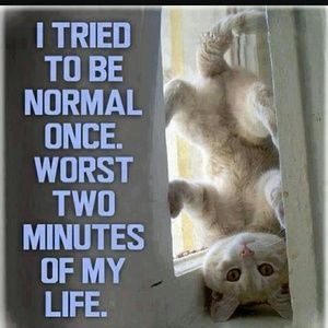 Meet your Posher, Frances