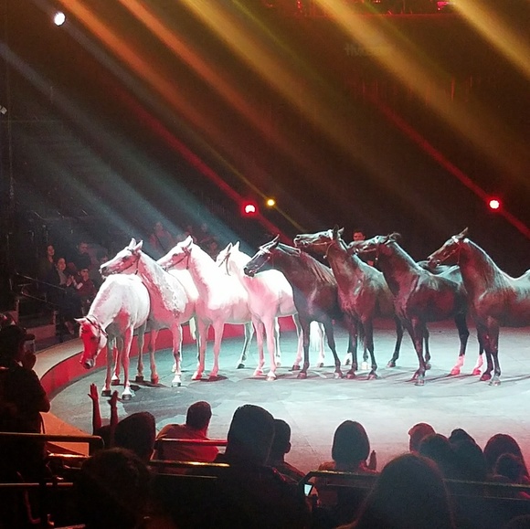 Meet your Posher, Carlos - Picture 1 of 1