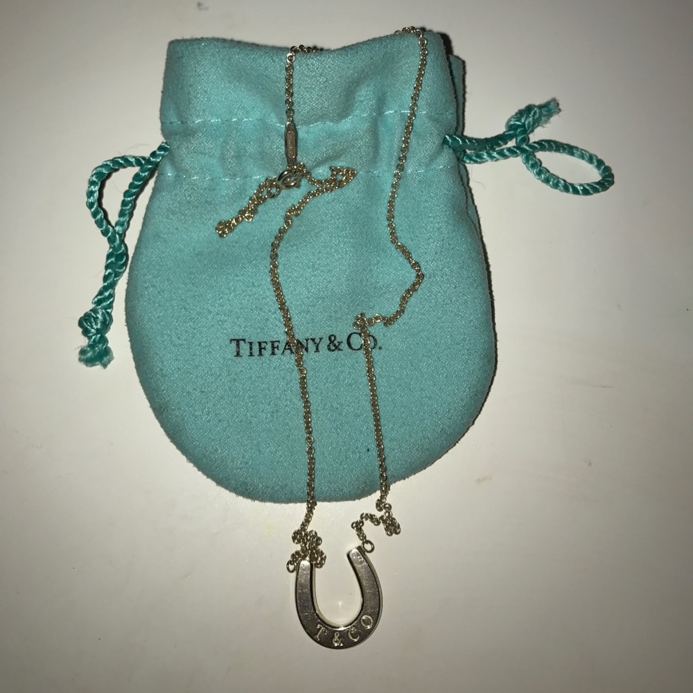 100% Authentic Tiffany & Co horseshoe necklace