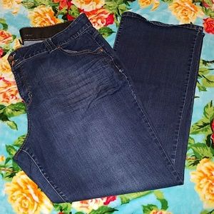 Lane Bryant Bootcut Jeans